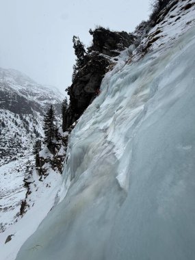 Avusturalya 'daki Alplere tırmanmak için buz saçakları