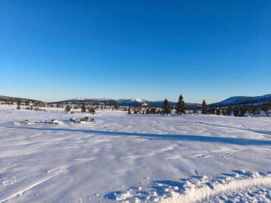 dev dağlar kışın karla krkonose yapar.