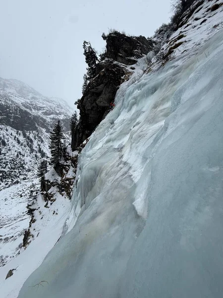 Avusturalya 'daki Alplere tırmanmak için buz saçakları