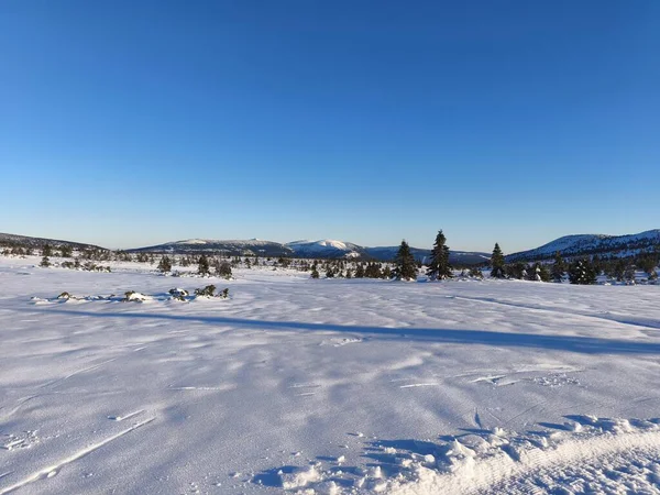 dev dağlar kışın karla krkonose yapar.