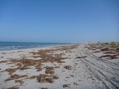 Djerba ıssız kumsalda