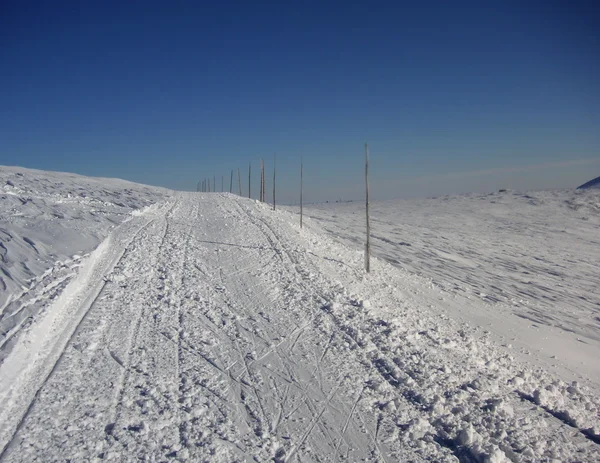 Rota de esqui cross country marcada com paus de madeira — Fotografia de Stock