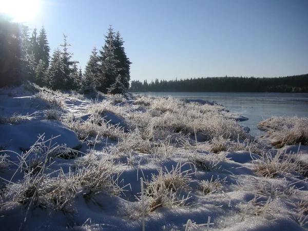 Eisiger Morgen am Bergsee — Stockfoto