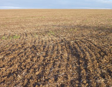 Kahverengi toprak ile sürülmüş alan