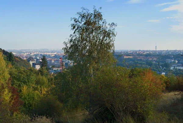 Hösten veiw av Prag — Stockfoto
