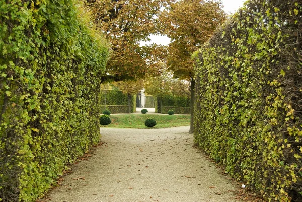 Osamělý park na podzim — Stock fotografie