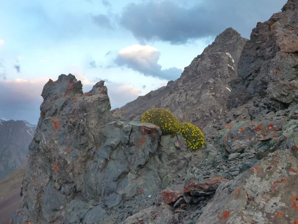 Col rocheux au Kargyzstan — Photo