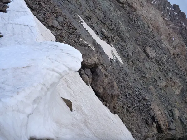 El detalle de la nieve, que se ha quedado hasta el verano — Foto de Stock