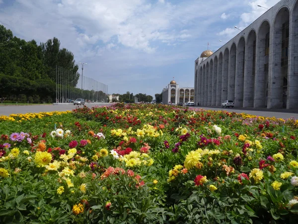 çiçek Kırgızistan Bişkek ana meydanında dekore edilmiştir.