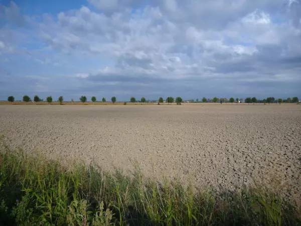 Gran campo marrón plano en el otoño —  Fotos de Stock