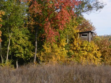 yüksek ağaçları gizli av için Ahşap yapı