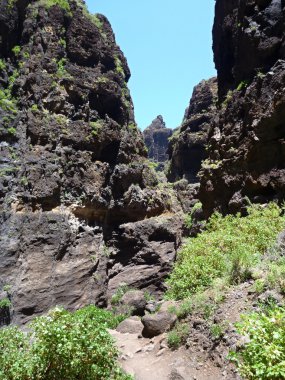 tenerife adasındaki masca gorge