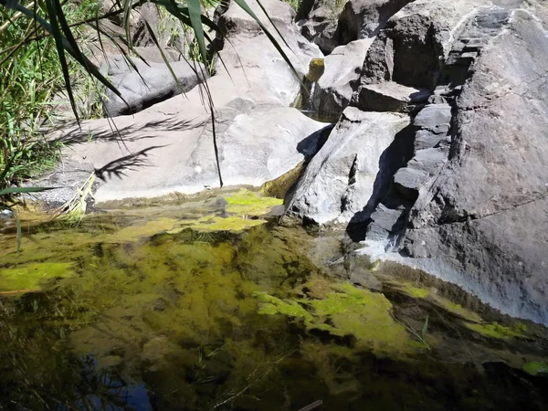 Piscina verde em uma rocha no pequeno riacho — Fotografia de Stock