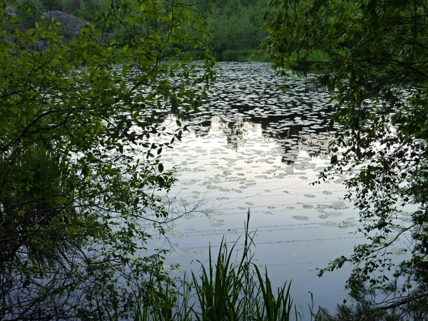 Riflessione in un parco lago — Foto Stock