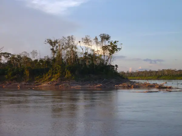 Manhã no rio amazonas — Fotografia de Stock