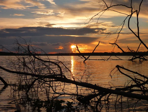 Morgen am Rio Amazonas — Stockfoto