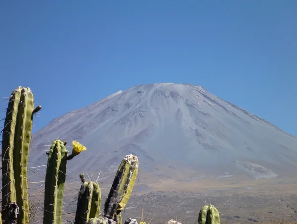Volkan El Misti arwquipa yukarıda — Stok fotoğraf