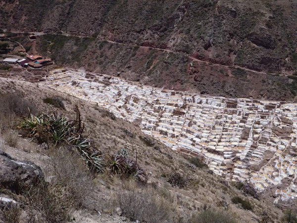 Salinas de maras en valle sagrado — Foto de Stock