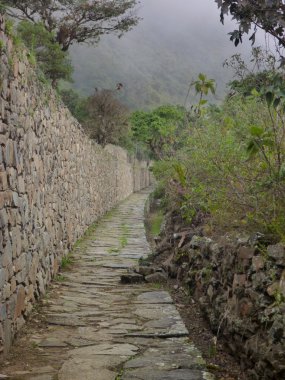 choquequirao Inka harabe Perulu dağ ormanları içinde