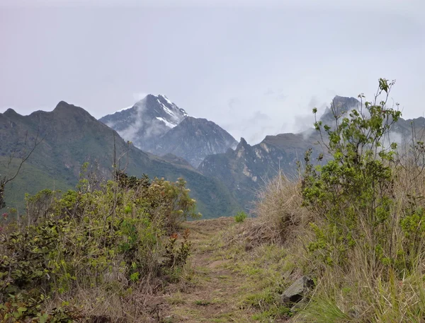 Choquequirao inka ruina en selva de montaña peruana —  Fotos de Stock