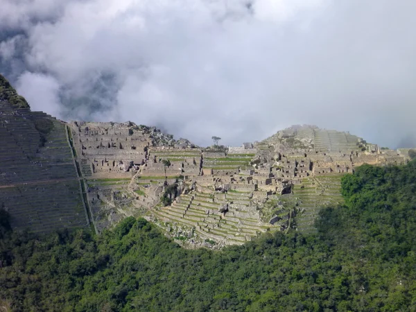 Machu picchu seen from oposite mountain putucusi — Stock Photo, Image