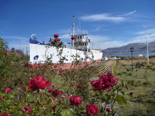 Barco en la titicaca del lago en rosas — Foto de Stock