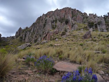 güzel renkli dağlarının cordillera de los frailes Bolivya