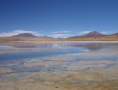 Bolivya'daki yüksek altiplano sülfürik Gölü