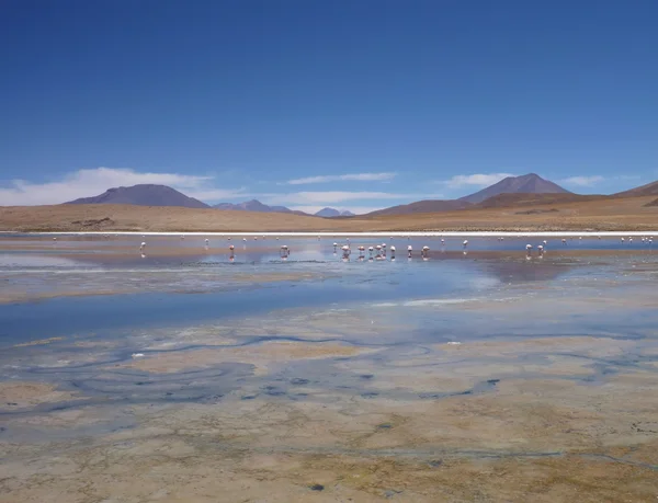 Bolivya'daki yüksek altiplano sülfürik Gölü — Stok fotoğraf