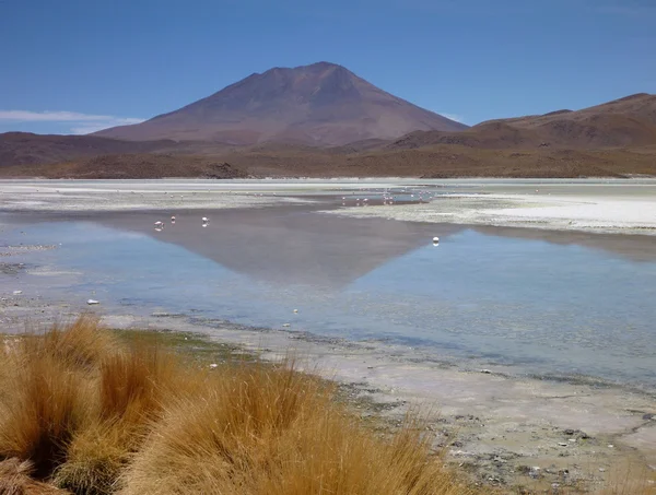 Bolivya'daki yüksek altiplano sülfürik Gölü — Stok fotoğraf