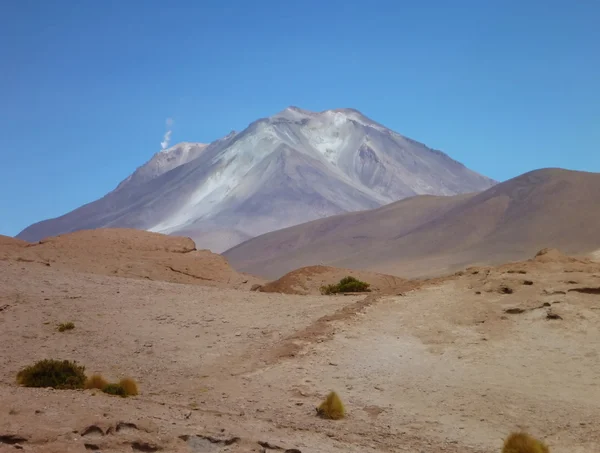 Volcan ollaque Bolivya altiplano — Stok fotoğraf