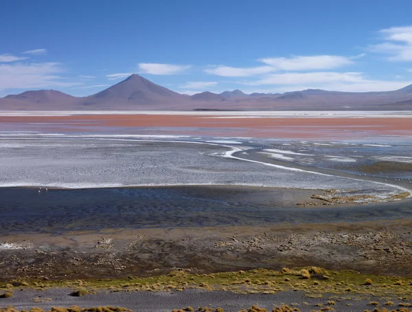 Laguna colorada flamingolar ile Bolivya altiplano içinde — Stok fotoğraf