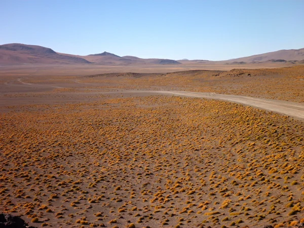 Desierto colorado-Bolívia határán sivatagban — Stock Fotó