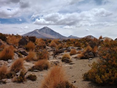 yamaçları volkan isluga, Şili altiplano çevresinde