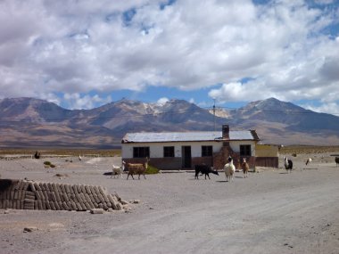 colchane altiplano adlı Şili sınırında evde