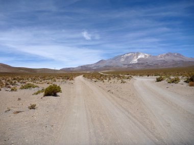 volcan isluga Şili altiplano, yol