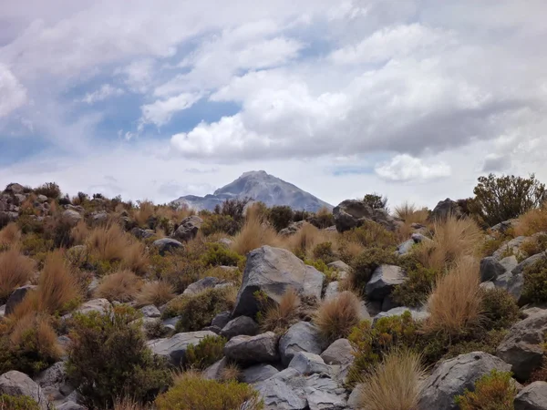 Склоны вокруг вулкана isluga на чилийской альтиплано — стоковое фото