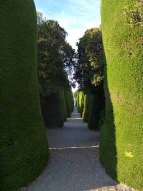 ağaç mesire cemeteery punta arenas