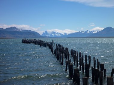 Puerto Natales Şili Patagonya'nın bay