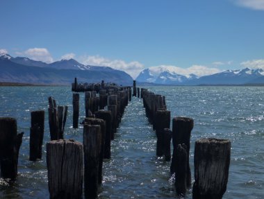 Puerto Natales Şili Patagonya'nın bay