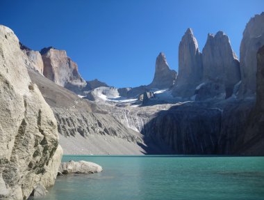 ağaç doruklarına torres del paine Şili