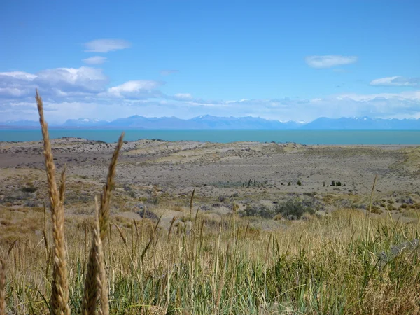 Wide grassy pampa in argentinian patagonia — Stock Photo, Image