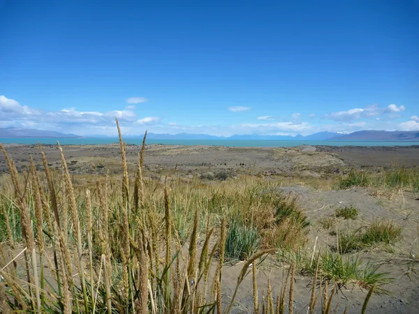 Arjantinli Patagonya'geniş çimenli pampa — Stok fotoğraf