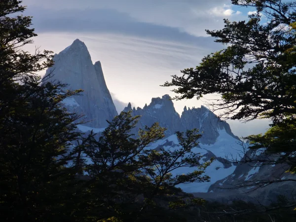 Vue du soir du pic fitz roy dans le parc los glaciares en argentine — Photo