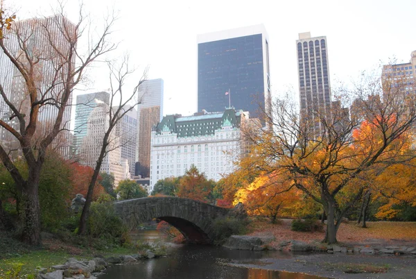Central Park, New York