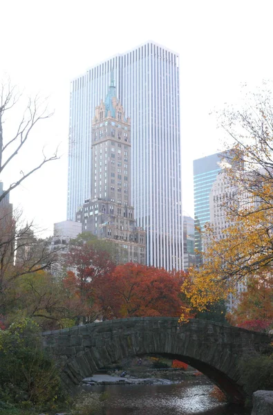 Central Park, New York