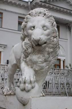 Leo Yelagin Sarayı 'nda. Saint-Petersburg, Rusya. Mayıs 2021.