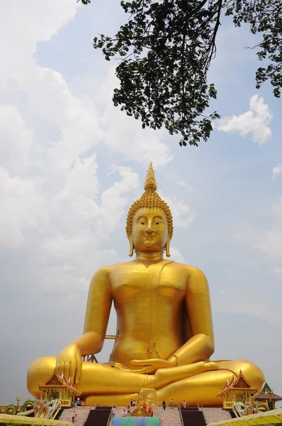 Büyük sarı Buda