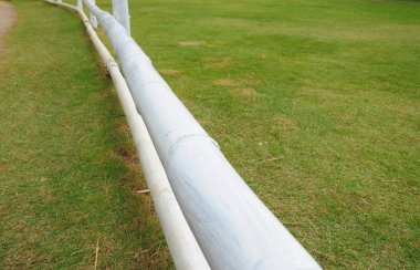 Bahçedeki bambu çit