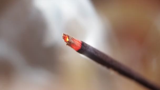 Incense close up — Stock Video